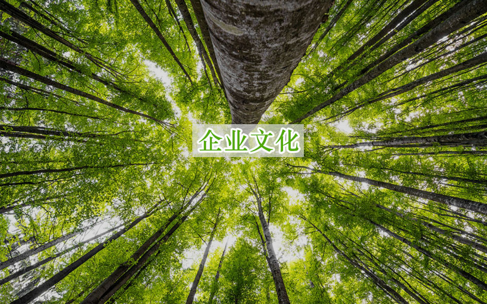 企業(yè)文(wén)化(huà)